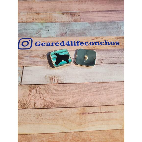 Turquoise serape mule, leather working, leather conchos for tack, mule tack - Picture 2 of 5